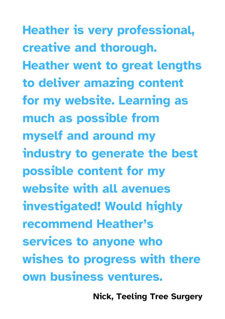 Nick Teeling website copywriting review in blue text on a white background